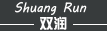 ˫